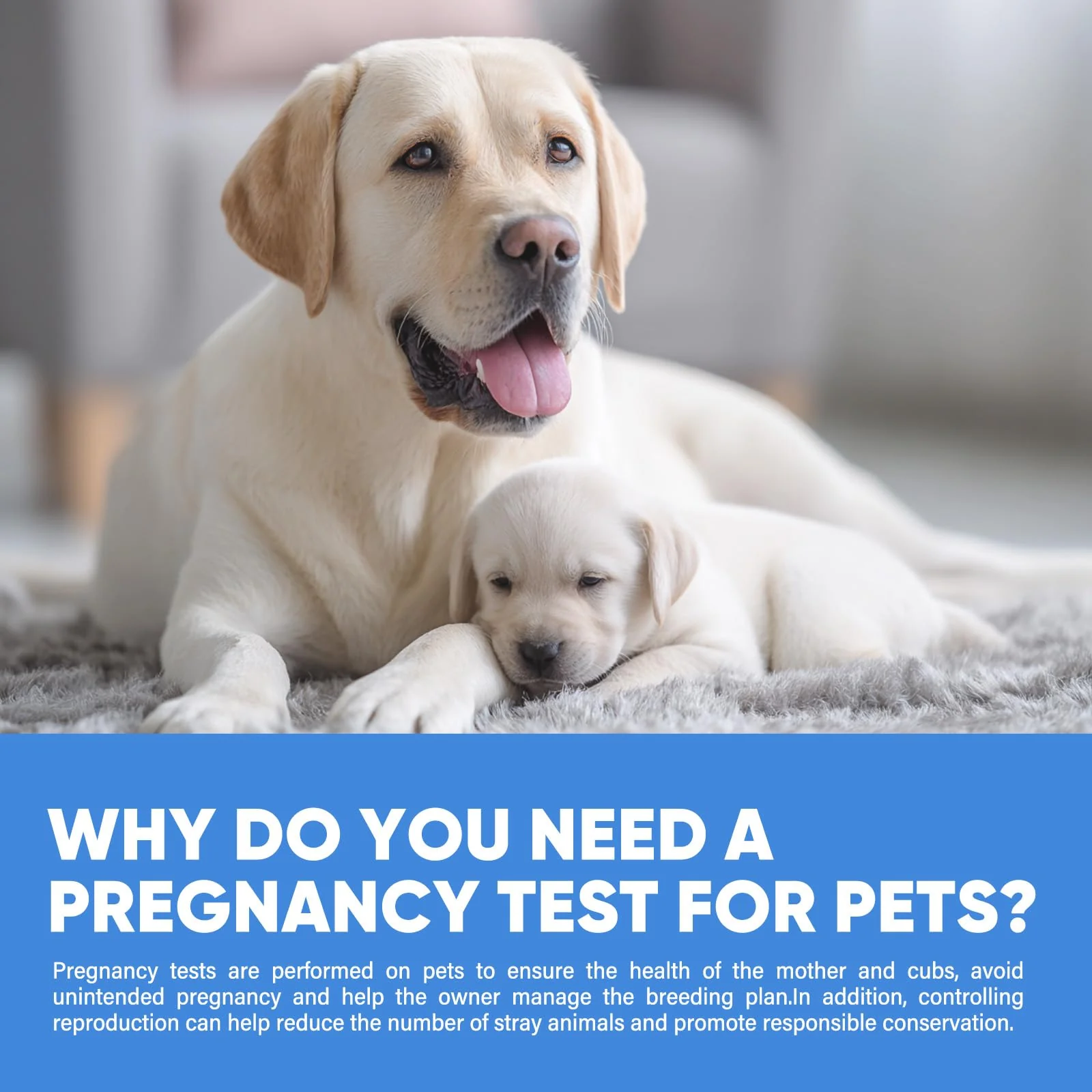 Jane Maternity & Breast Feeding Cushion - Image 29