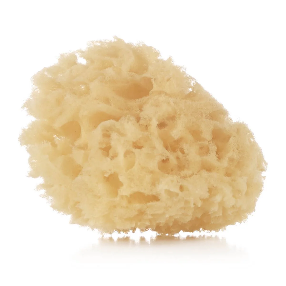 Natural Sponges (2 Pack) - Image 3
